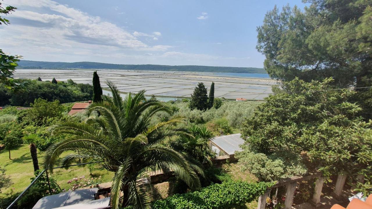 Apartment Laurus Portorose Esterno foto