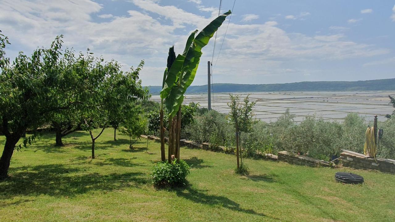 Apartment Laurus Portorose Esterno foto
