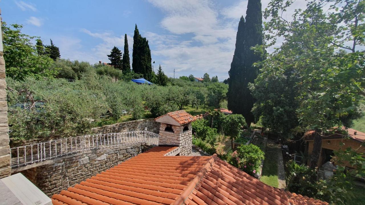 Apartment Laurus Portorose Esterno foto