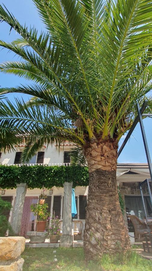 Apartment Laurus Portorose Esterno foto