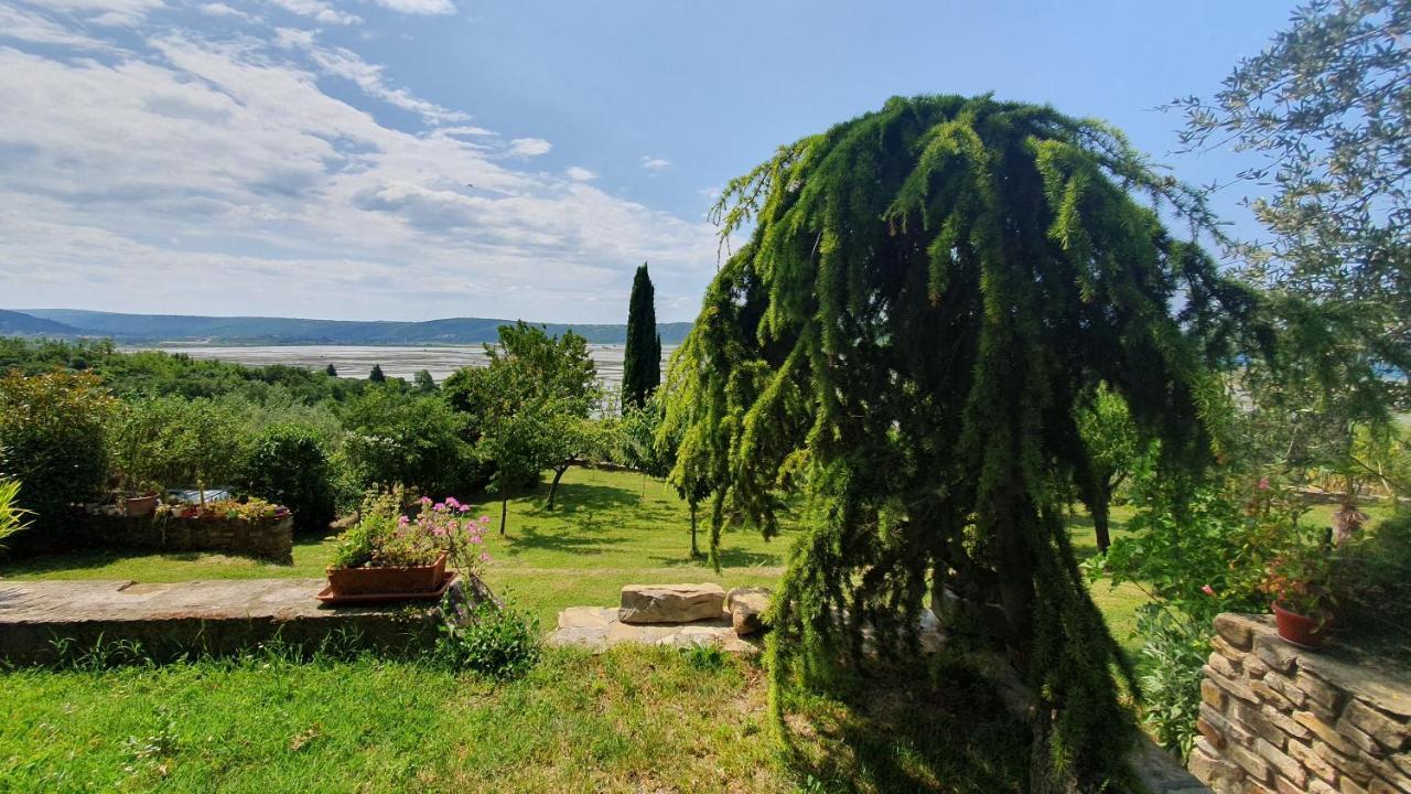 Apartment Laurus Portorose Esterno foto