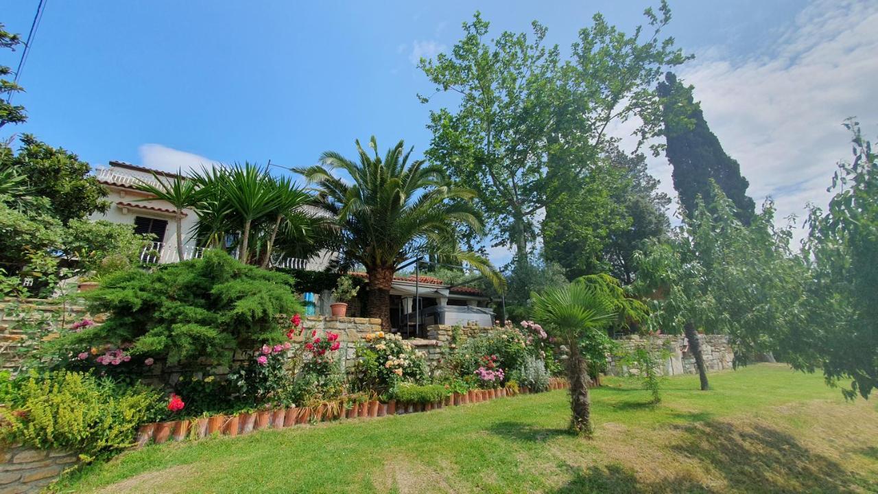 Apartment Laurus Portorose Esterno foto